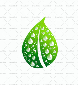 Tautropfen auf einem Blatt